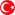 Türkçe